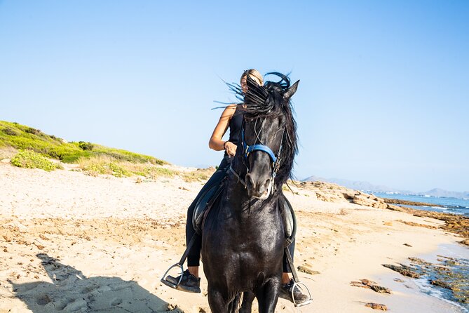 3-Hour Beach Horse Riding to Discover the Beauty of Alcudia Bay - Key points to know before you book