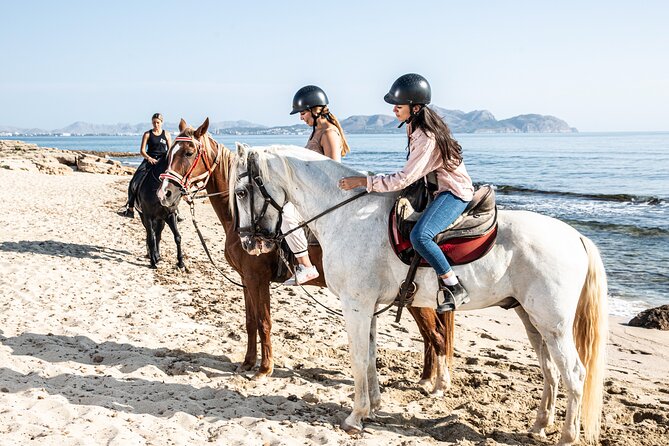 3-Hour Beach Horse Riding to Discover the Beauty of Alcudia Bay - What the horses and guides are like