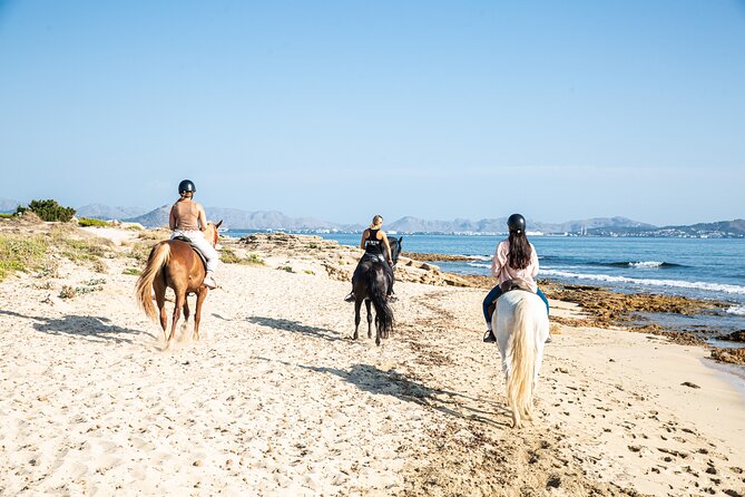 3-Hour Beach Horse Riding to Discover the Beauty of Alcudia Bay - Is the $90.12 price good value?