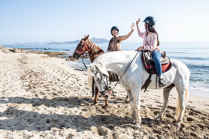 3-Hour Beach Horse Riding to Discover the Beauty of Alcudia Bay - What to bring for the beach and forest