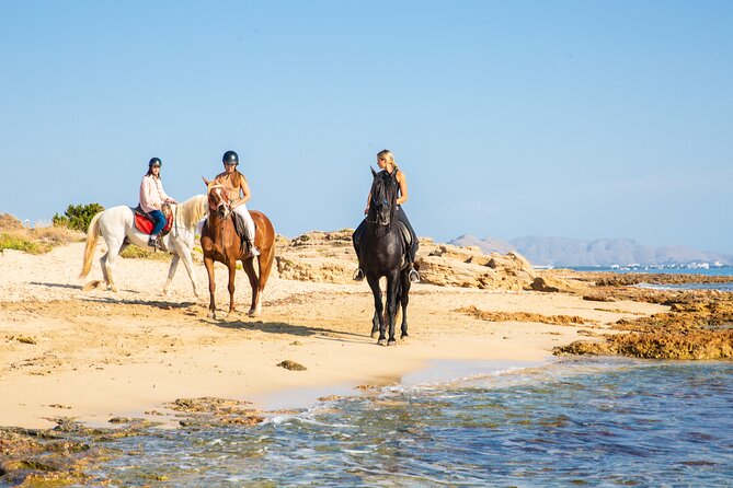 3-Hour Beach Horse Riding to Discover the Beauty of Alcudia Bay - Who should book this ride?