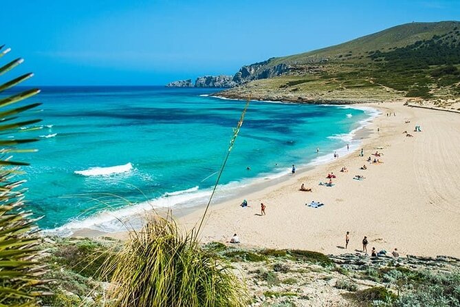 Afternoon Snorkel & Paddle Surf Experience in a Secret Spot - Key points to know before you book