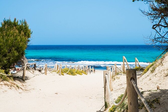 Afternoon Snorkel & Paddle Surf Experience in a Secret Spot - The sunset finish from the water
