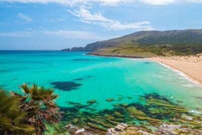 Afternoon Snorkel & Paddle Surf Experience in a Secret Spot