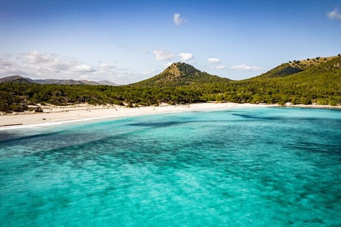 Afternoon Snorkel & Paddle Surf Experience in a Secret Spot - Guides who shape the experience
