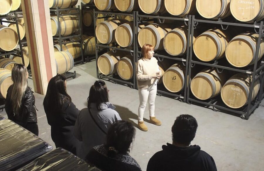Alcúdia/Can Picafort: Guided Vineyard Visit and Wine Tasting - Should you book it?