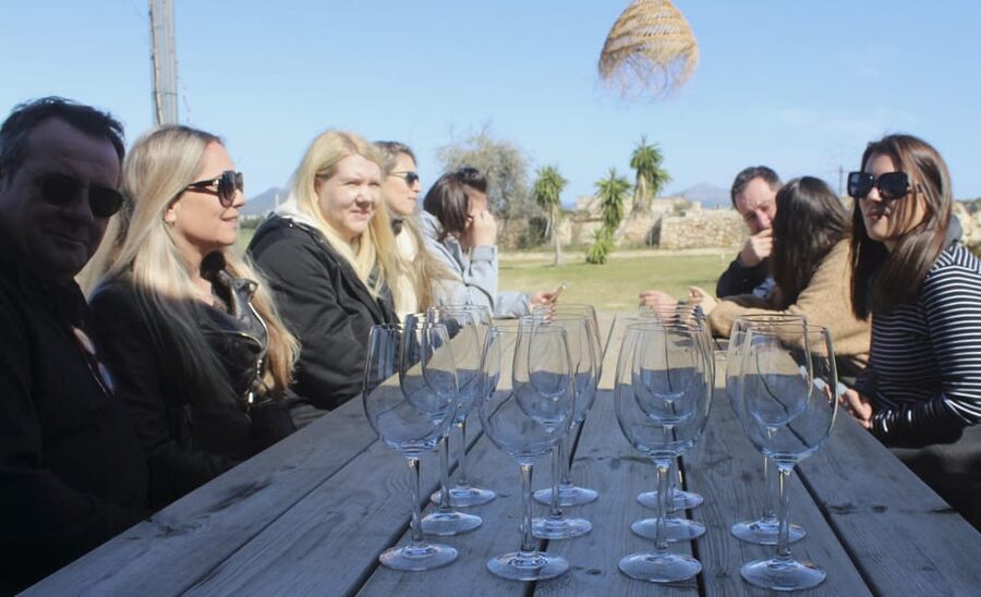 Alcúdia/Can Picafort: Guided Vineyard Visit and Wine Tasting - From barrels to the tasting terrace