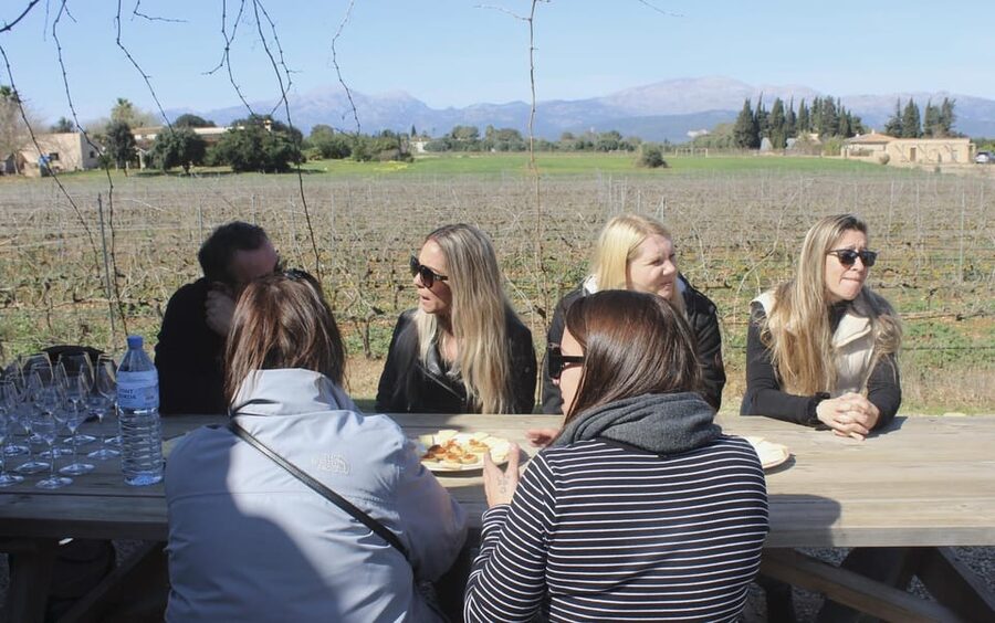 Alcúdia/Can Picafort: Guided Vineyard Visit and Wine Tasting - Five wines and local food