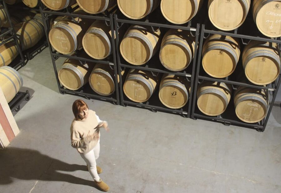 Alcúdia/Can Picafort: Guided Vineyard Visit and Wine Tasting - The transfer is the main tradeoff