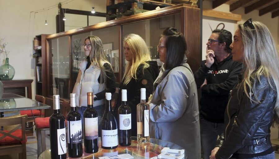 Alcúdia/Can Picafort: Guided Vineyard Visit and Wine Tasting - Who will enjoy this winery visit