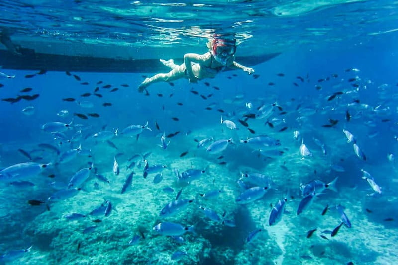 Alcudia: Formentor Beach, Lighthouse Cruise, and Small Group - Cap Pinar, clear water, and snorkeling