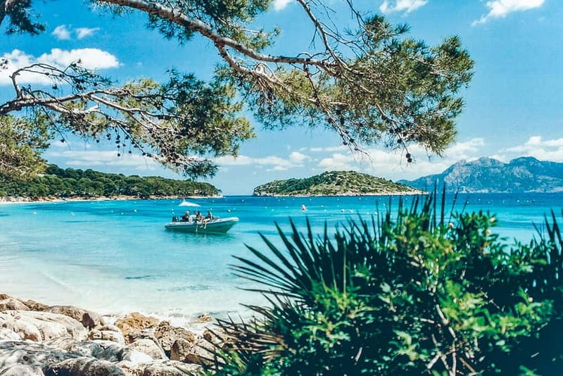 Turquoise water and pine cliffs at a Mallorcan cala