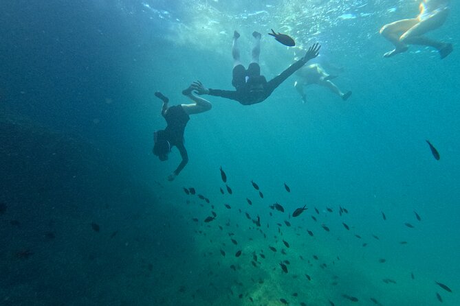 Alcudia: Guided Sea Kayaking & snorkelling Tour (day & sunset) - Getting started with the kayak