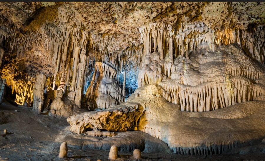 Alcudia: Half-day Caves of Hams, Blue Caves and documentary - Free time in the botanical garden