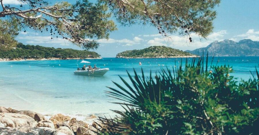 Alcudia: Llevant Peninsula Nature Reserve Private Boat Tour - Cliffs, open water, and a chance to spot dolphins