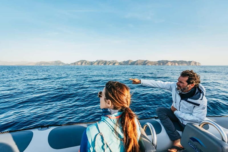 Alcudia or Can Picafort: Dolphin-Watching Cruise - Cabo Formentor and the northern cliffs