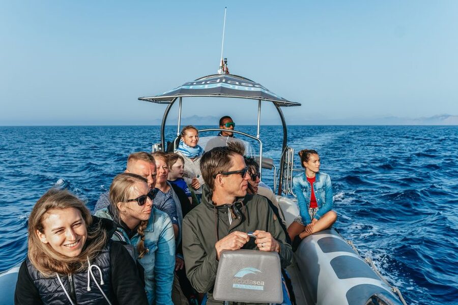 Alcudia or Can Picafort: Dolphin-Watching Cruise - Swimming at Es Coll Baix