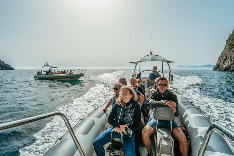 Alcudia or Can Picafort: Dolphin-Watching Cruise - Guides, captains, and the feel onboard