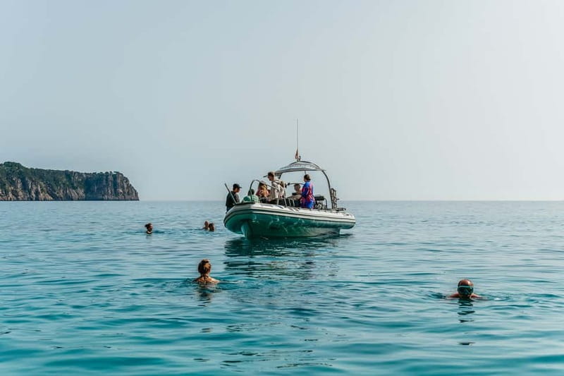 Alcudia or Can Picafort: Dolphin-Watching Cruise - Sunrise or later in the day?