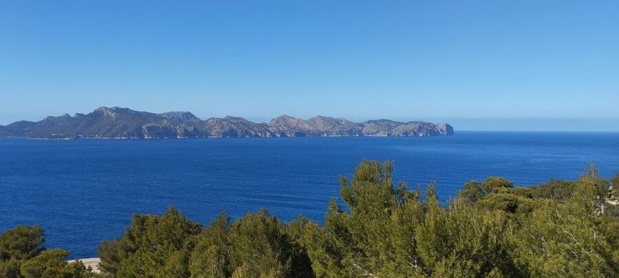 Alcudia: Quad Sightseeing Tour with Viewpoints - What the $100 price buys you