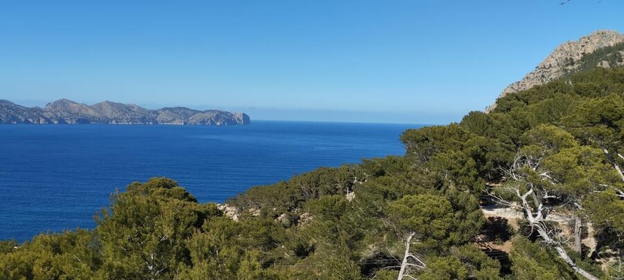 Alcudia: Quad Sightseeing Tour with Viewpoints - Booking details worth checking first