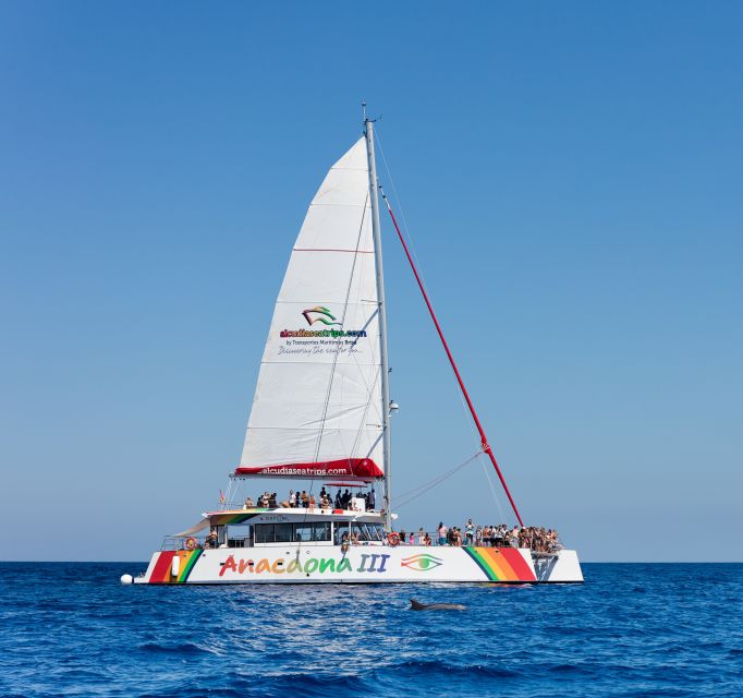 Alcudia: Sunset Catamaran Tour with Dinner and Snorkeling - Should you book this sunset catamaran tour?