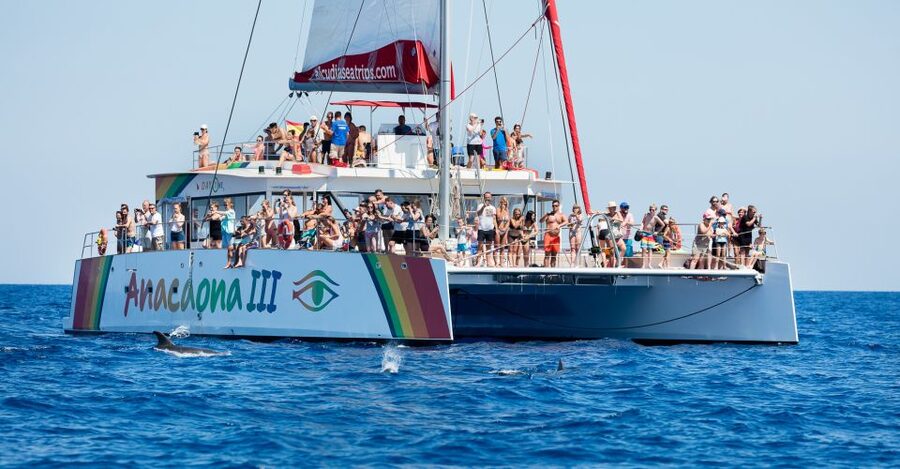 Alcudia: Sunset Catamaran Tour with Dinner and Snorkeling - Sailing north from Alcudia as the light softens