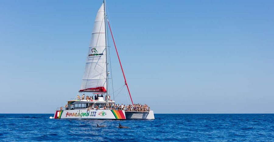 Alcudia: Sunset Catamaran Tour with Dinner and Snorkeling - Sunset views across the Bay of Pollença