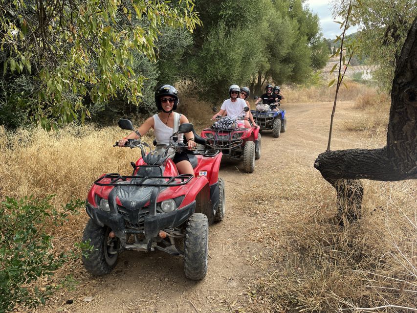 Andratx: Guided Quad Sightseeing Tour - Safety, group size, and the guide’s role