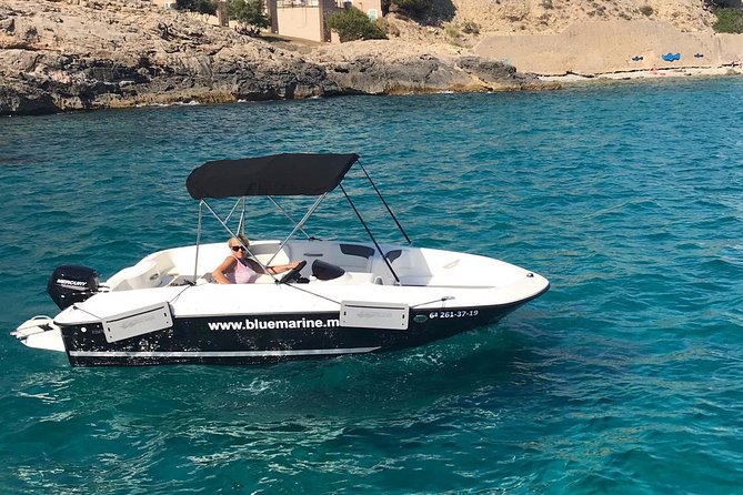 Bluemarine.me license free Bayliner Element E5 rental - Key points before you book