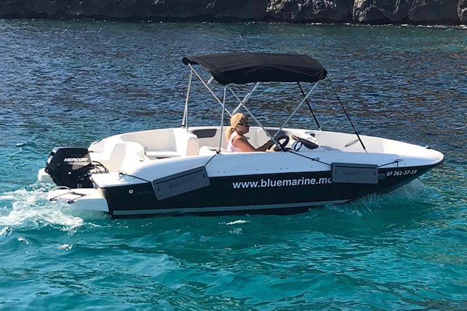 Bluemarine.me license free Bayliner Element E5 rental - Taking the helm in Santa Ponsa