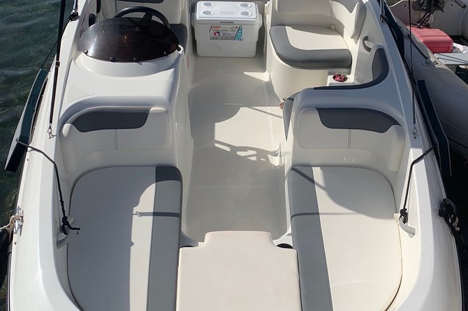 Bluemarine.me license free Bayliner Element E5 rental - Who will enjoy this private boat rental?