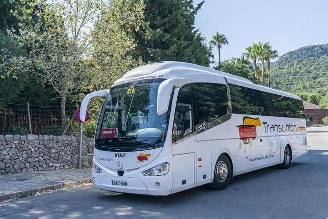 Boat, Tram and Train Tour in Mallorca from the South - Who will enjoy this tour most?