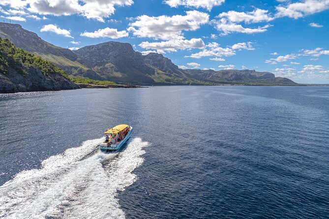 Boat Trip to Llevant Natural Park and Blue Cave - Alcúdia is the detail you must get right