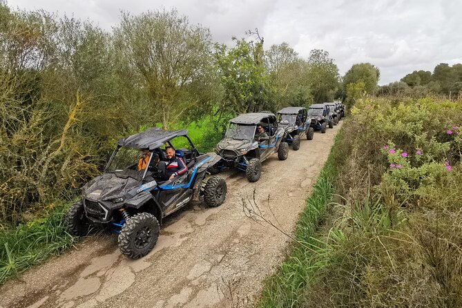Buggy 2-seater and 4-seater Off-On Road Tour in Mallorca - The Sant Jordi route: fun, dust, and bumps