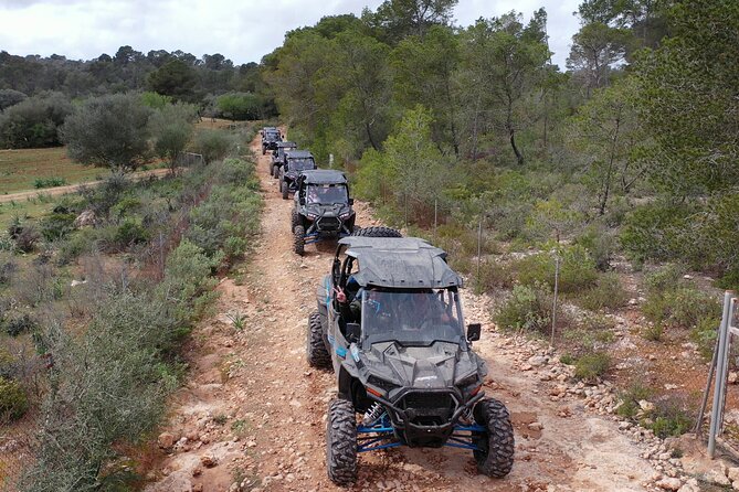 Buggy 2-seater and 4-seater Off-On Road Tour in Mallorca - Guides, group size, and the feel of the outing