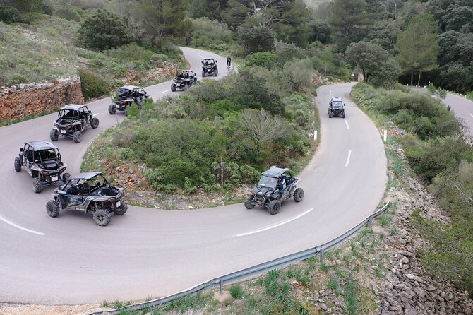 Buggy 2-seater and 4-seater Off-On Road Tour in Mallorca - What the $289.64 price really means