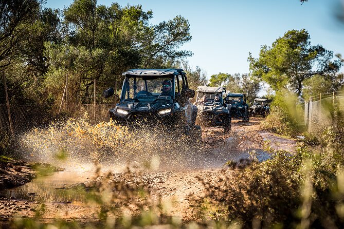 Buggy 2-seater and 4-seater Off-On Road Tour in Mallorca - How the two-seat and four-seat buggies compare