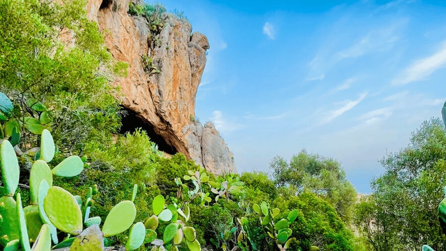 Cala Millor: "Cavemen", cave on a mountain,fun game and hike - The viewpoints reward the uphill work