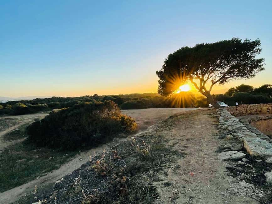 Cala Millor: real treasure hunt in natural reserve, fun walk - Who will enjoy this most?