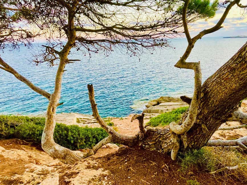 Cala Millor: real treasure hunt in natural reserve, fun walk - Following the 4-kilometer route from forest to sea