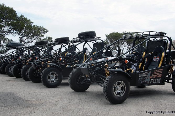 "Cala Millor & Sa Coma: TOP Buggy Tours – your mega experience!" - Bonany adds a quieter mountain stop