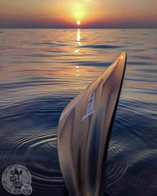 Cala Ratjada: Stand Up Paddle Sunrise Tour - Why a sunrise paddle is worth the early alarm