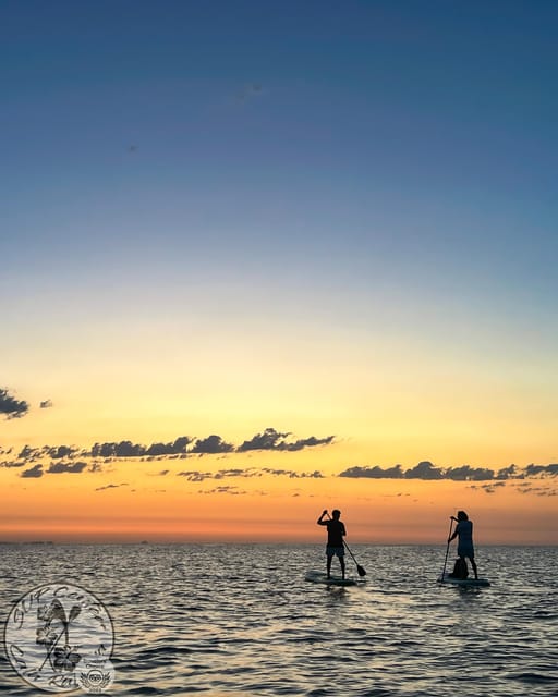 Cala Ratjada: Stand Up Paddle Sunrise Tour - Meeting at Cala Agulla before first light