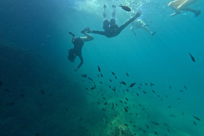 Cala Varques: Guided kayak Sea caves expedition & snorkeling - Is $90.11 a fair price?