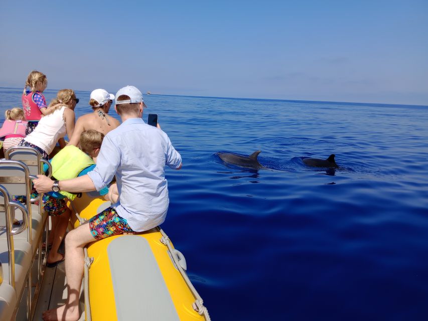 Can Picafort: Dolphin Watching Boat Tour with Swimming - Why this Can Picafort boat trip feels different