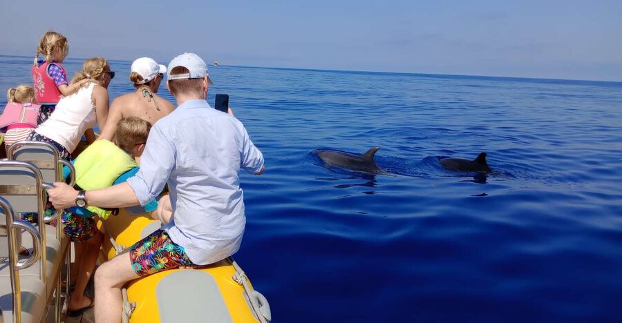 Can Picafort: Dolphin Watching Boat Tour with Swimming - Searching for dolphins in open water