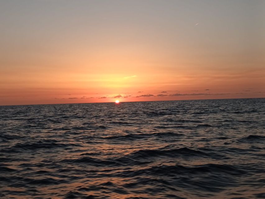 Can Picafort: Dolphin Watching Boat Tour with Swimming - The cave and rock formations on the way back