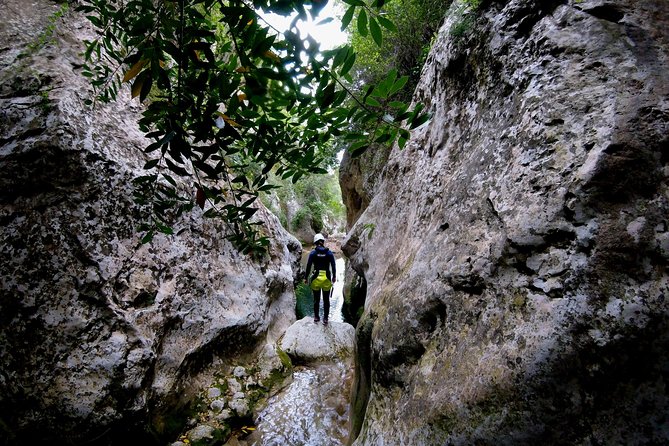 Canyoning Mallorca - Is $71.47 a fair price?