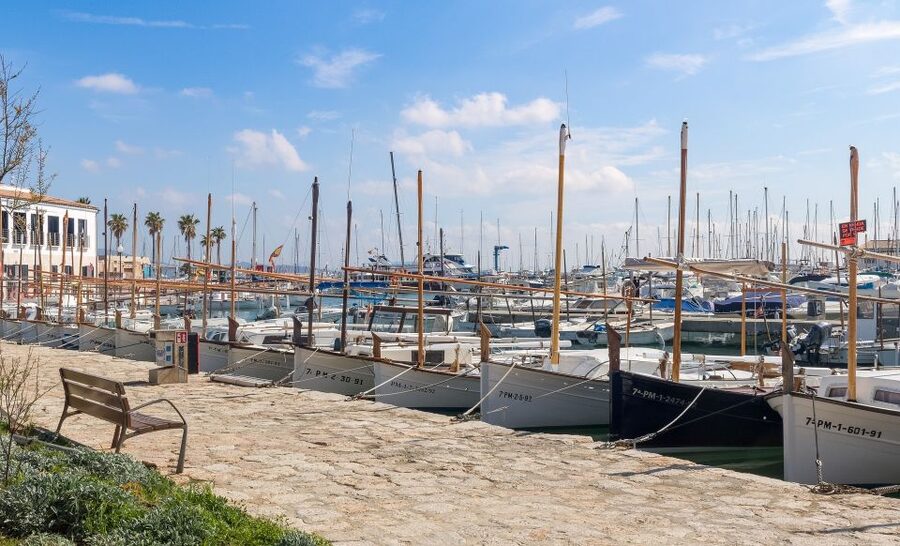 Cap de Formentor: Market, Beach, and Alcudia Tour - Transport, languages, and the pace of the day